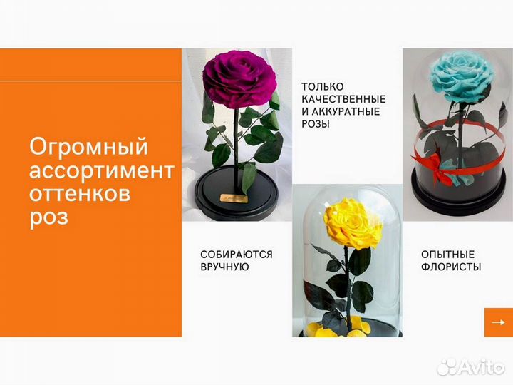 Роза в колбе. С гарантией