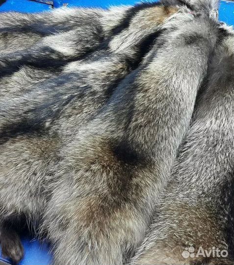 Шкура из Енота