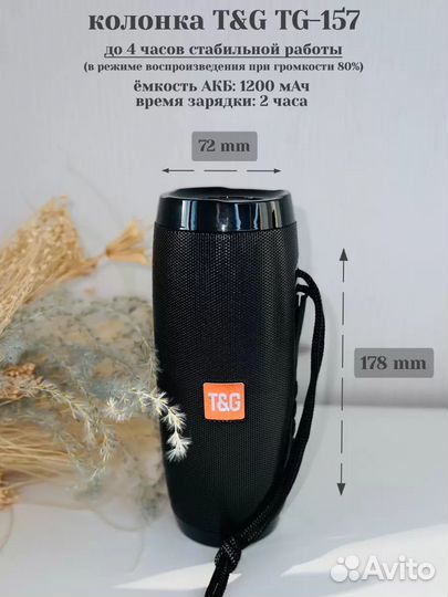 Портативная колонка T&G