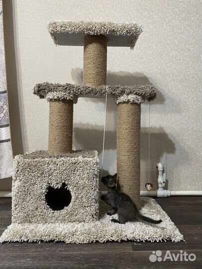 Домик когтеточка