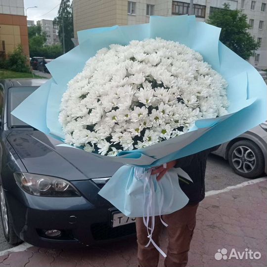 Хризантема 51 шт. Букет