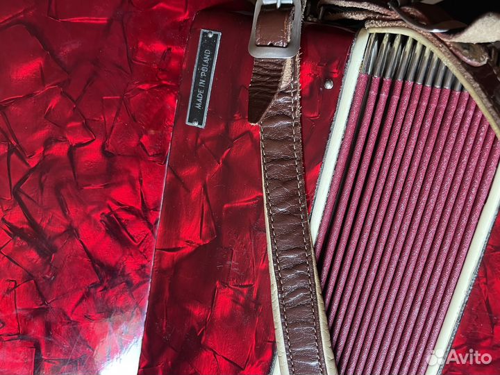 Акардион муза 1960 года