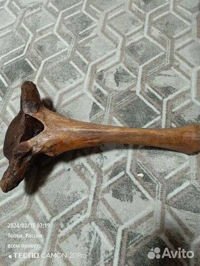 Кость мамонта