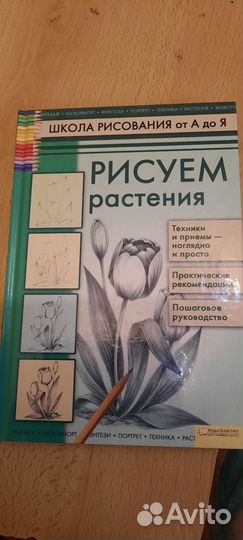 Школа рисования