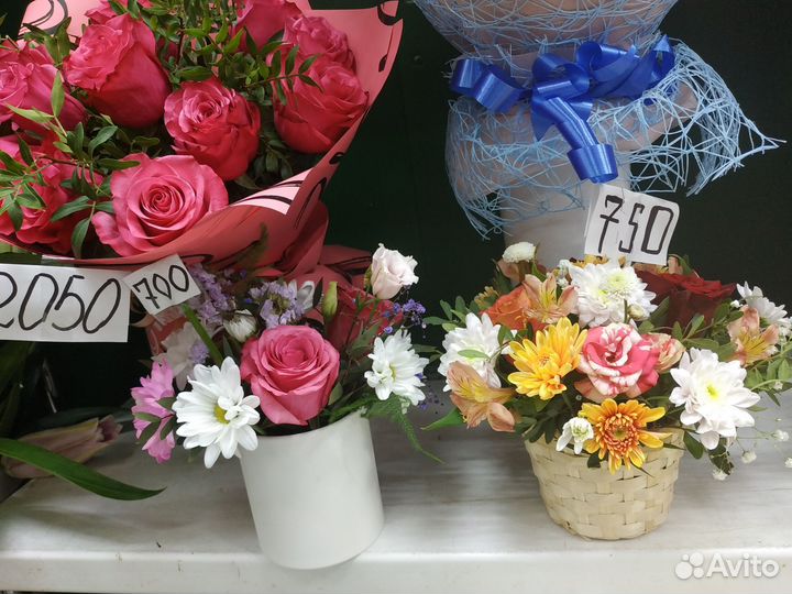 Абутилон мини-букет роза хризантема ромаш.доставка