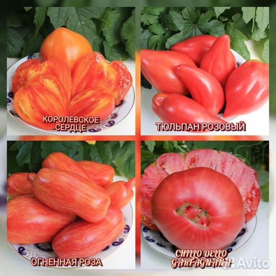 Томаты. Продам семена