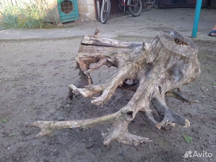 Шедевр Природы