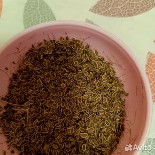 Семена укропа