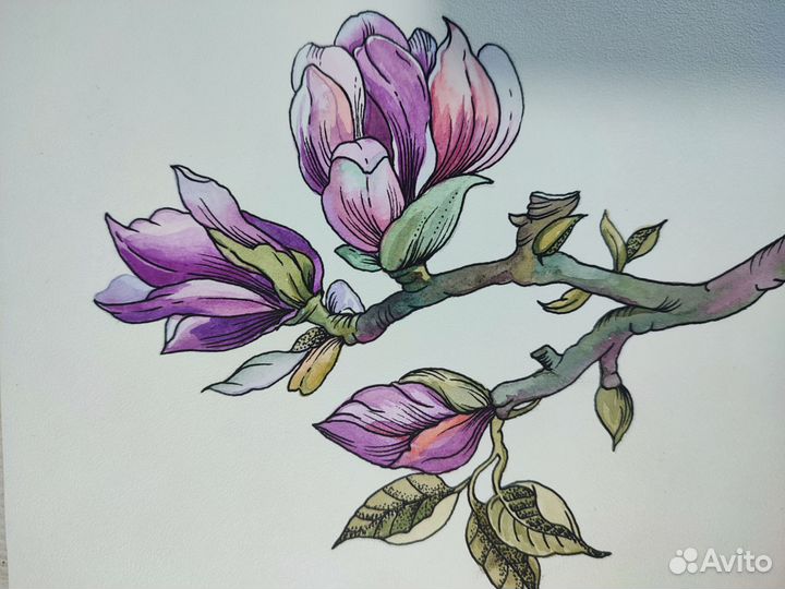 Рисунки акварелью