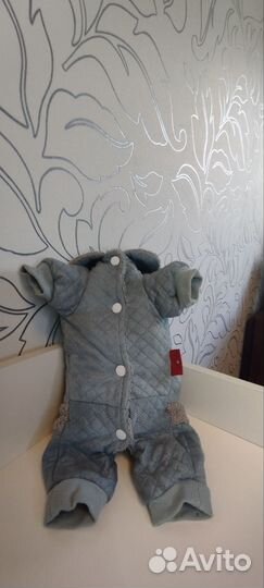 Одежда для маленьких собак