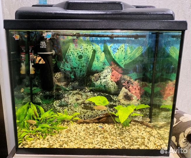Аквариум с рыбками
