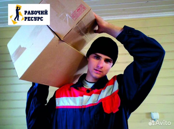 Грузчики, Разнорабочие