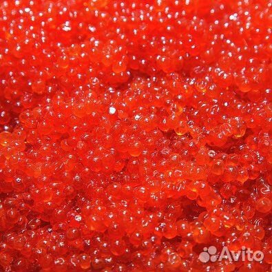 Красная икра 2023