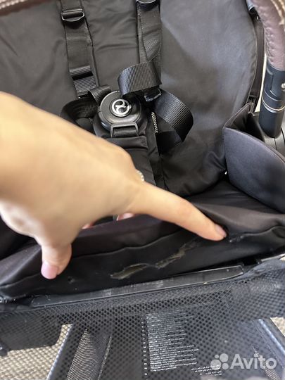 Прогулочная коляска cybex mios birds of paradise