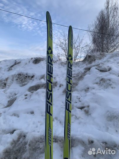 Беговые лыжи fischer rcs