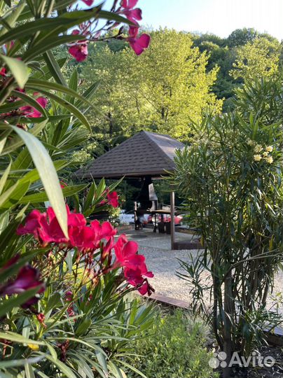 Отдых в горах у моря