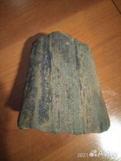 Окаменелость