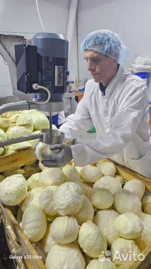 Капуста квашеная