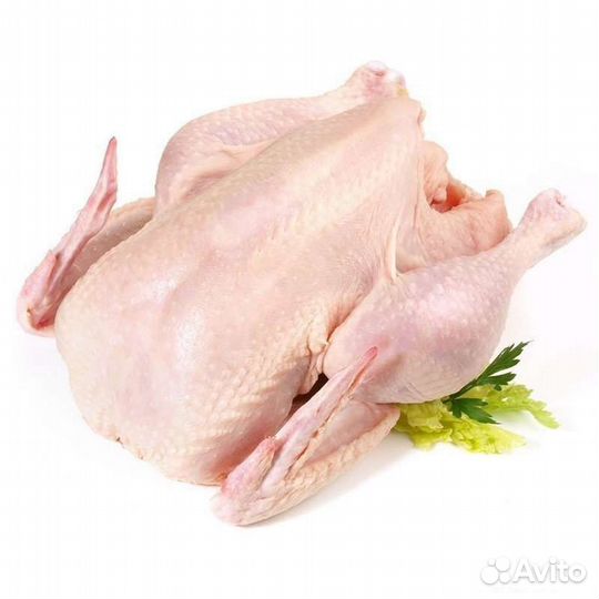 Домашнее Мясо Кур курятина