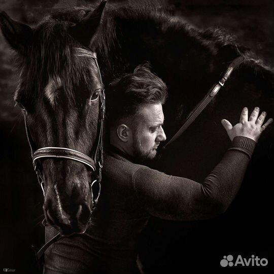 Конная фотосессия, фото с лошадьми