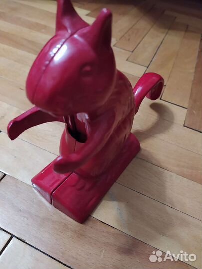 Орехоколка красивая