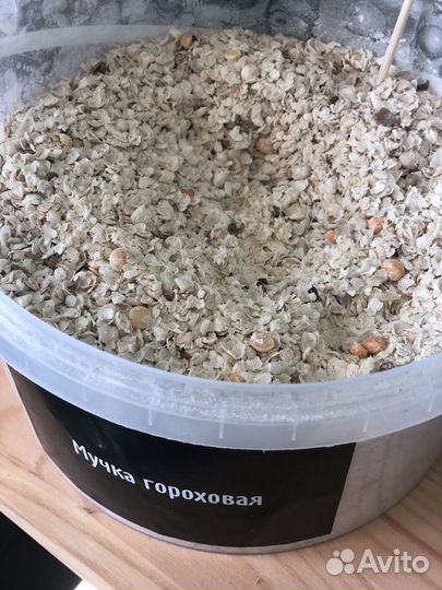 Мучка гороховая