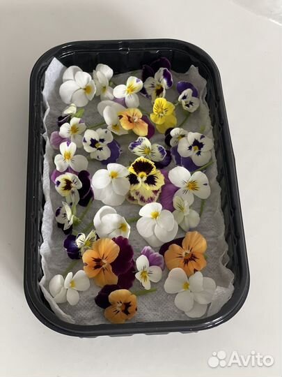 Пищевые цветы Виола, сьедобные цветочки