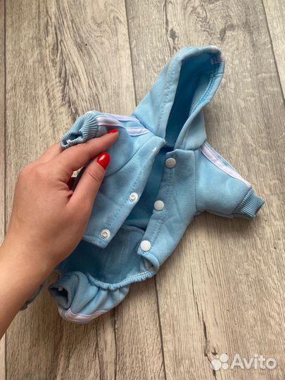 Комбинезоны для маленькой собачки