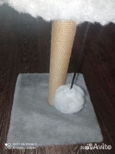 Когтеточка