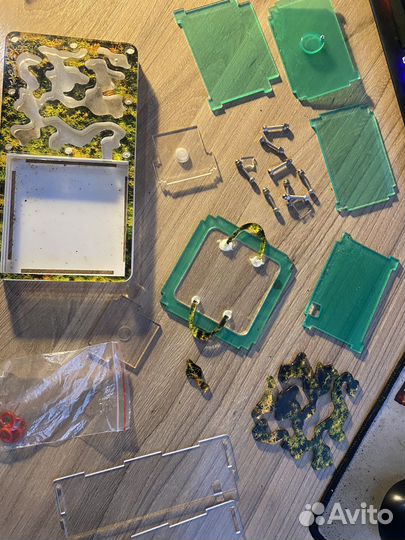 Муравейник