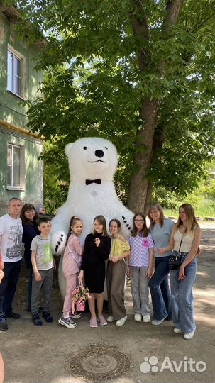 Большой белый мишка экспресс поздравление