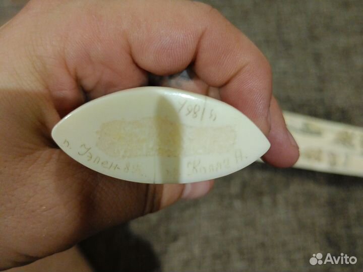 Клык моржа (имитация)