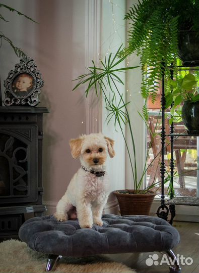 Лежанка для кошечек и собачек