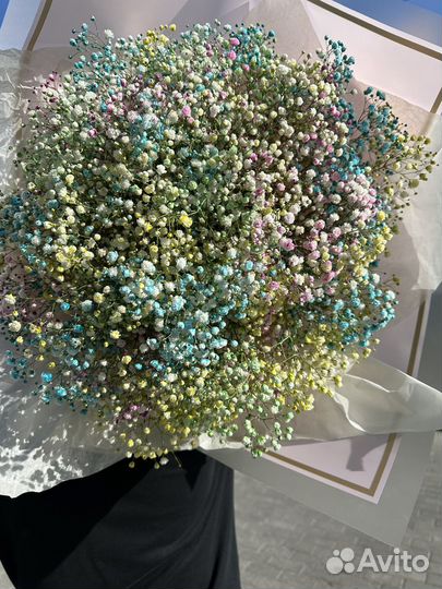 Радужная гипсофила. Доставка цветов Калининград