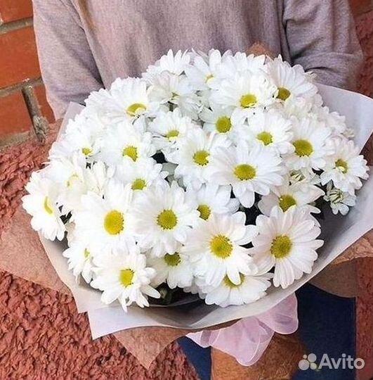 Хризантема. Букеты Цветы доставка