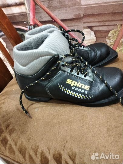 Лыжные ботинки