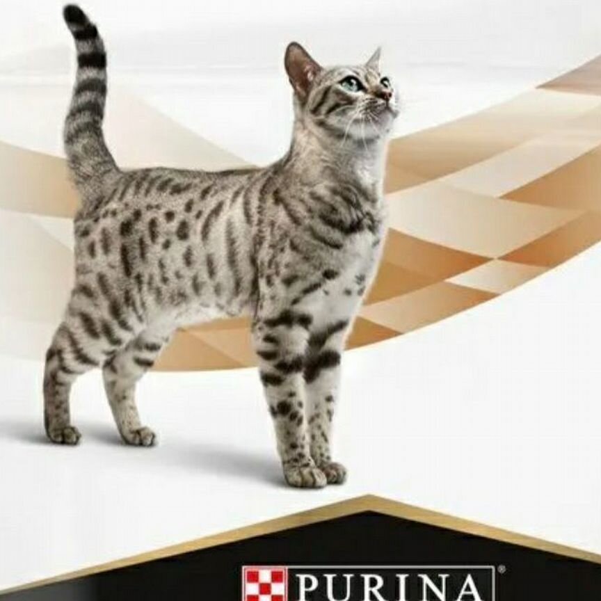 Proplan NF Renal для кошек поздняя стадия 350гр