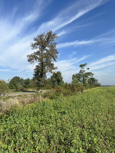 Участок 15,7 га (ИЖС)