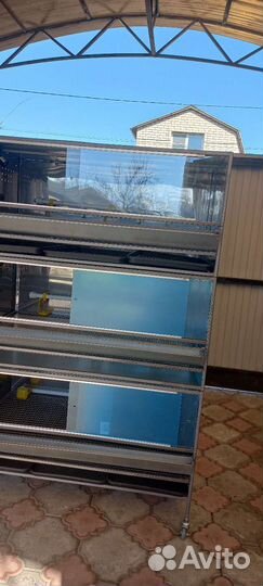 Брудер для цыплят