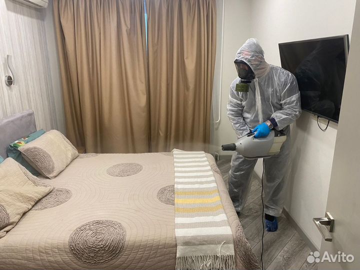 Уничтожение клопов, травить тараканов. Дезинфекция