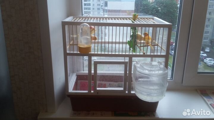 Клетки для птиц