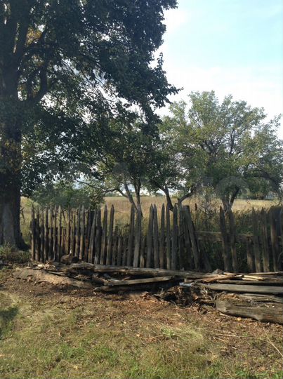 Дом 25,7 м² на участке 50 сот.