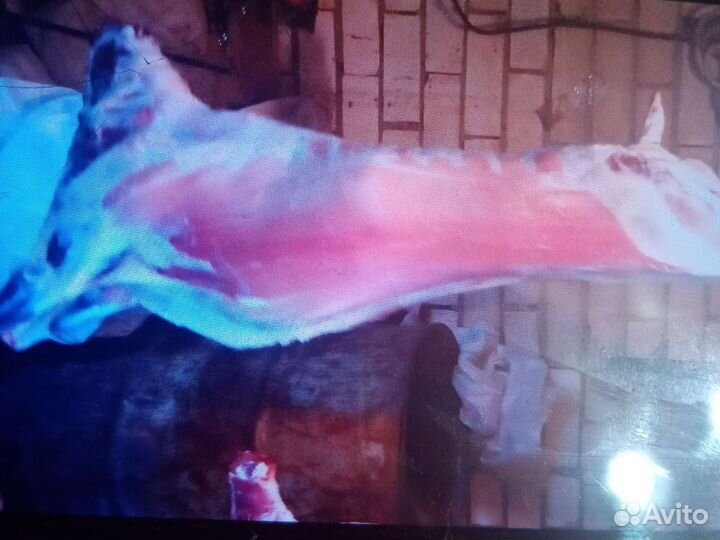 Мясо баранина