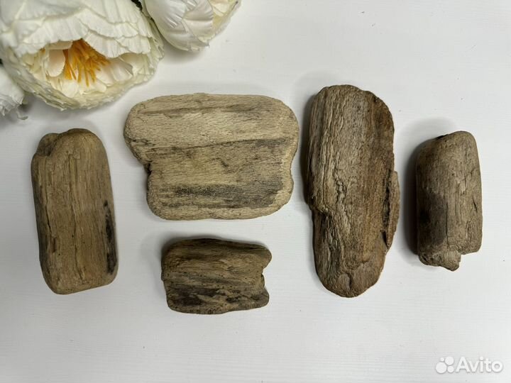 Дрифтвуд Черного моря для творчества