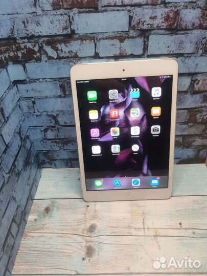 iPad mini 16gb