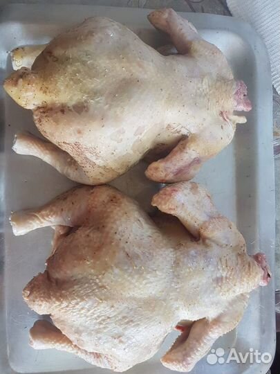 Куры бройлеры мясо