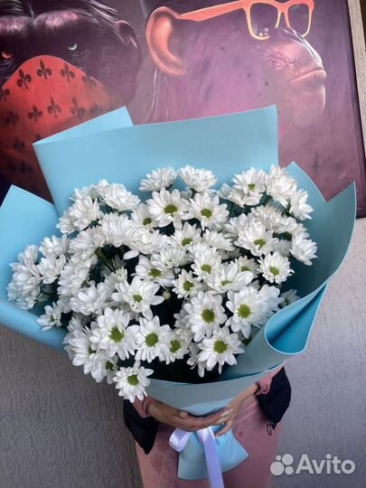 Букет из белых ромашек гигант