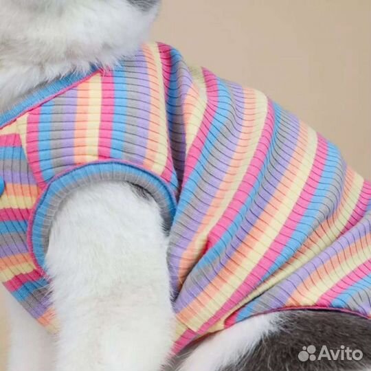 Майки для котят