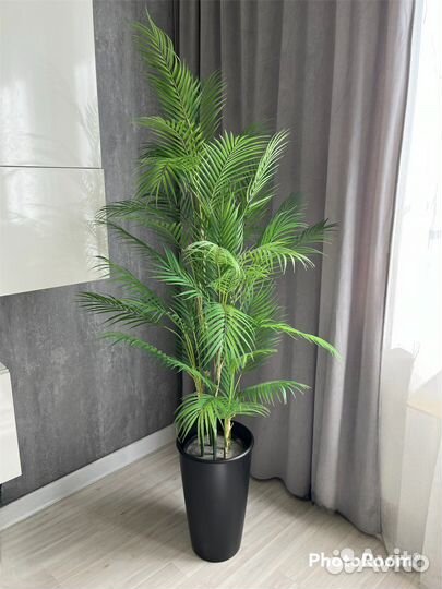 Искусственная декоратиная пальма реал тач