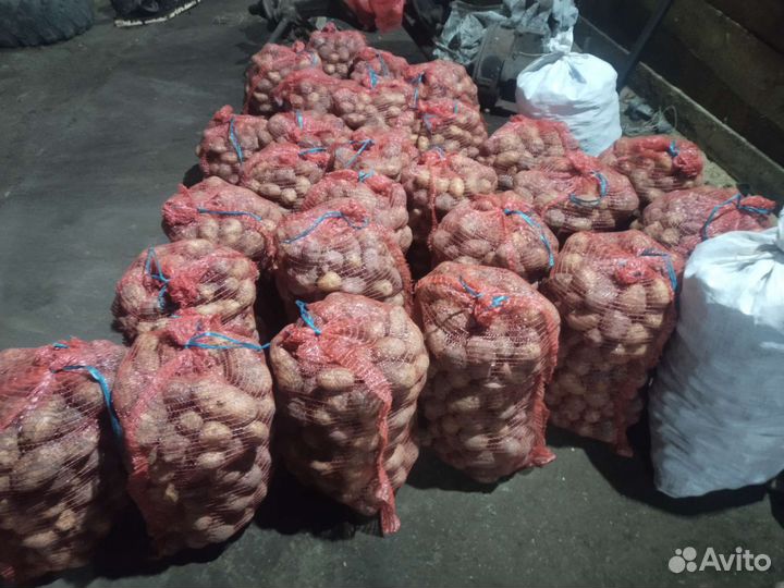 Продам картофель со своего огорода